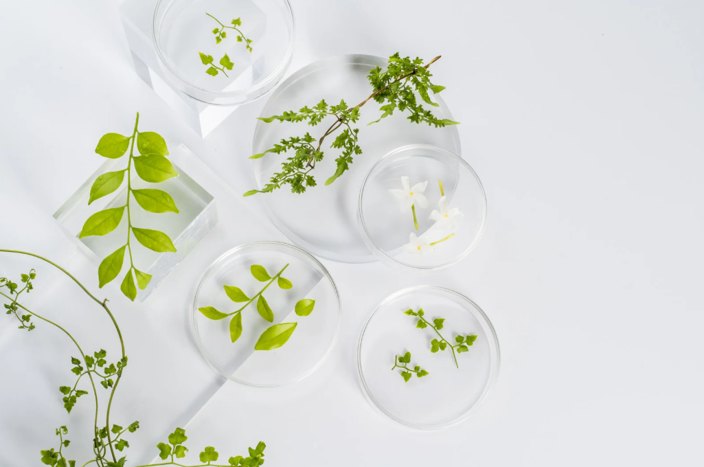 Green Bioactives Limited