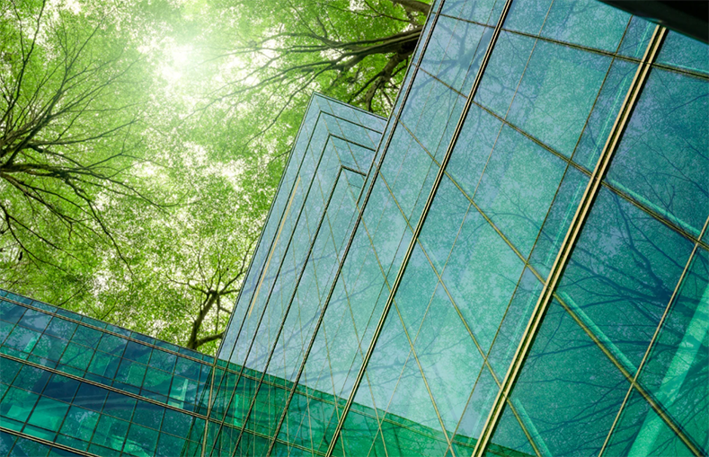 Project Meridian – Global Sustainability Technology Business